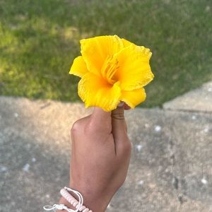 Meet your Posher, Sephora